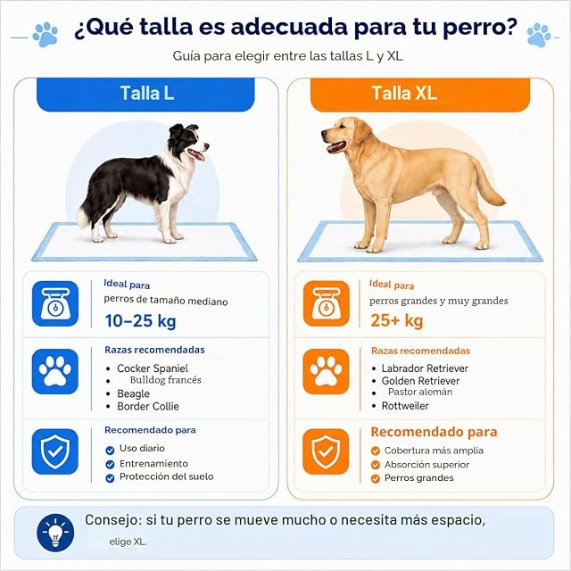 Foto 6 de 7 de DODA Empapadores Perros 60x90 cm 60 Unidades, 6 Capas Ultra Absorbentes, Alfombrillas Higiénicas Antifugas…