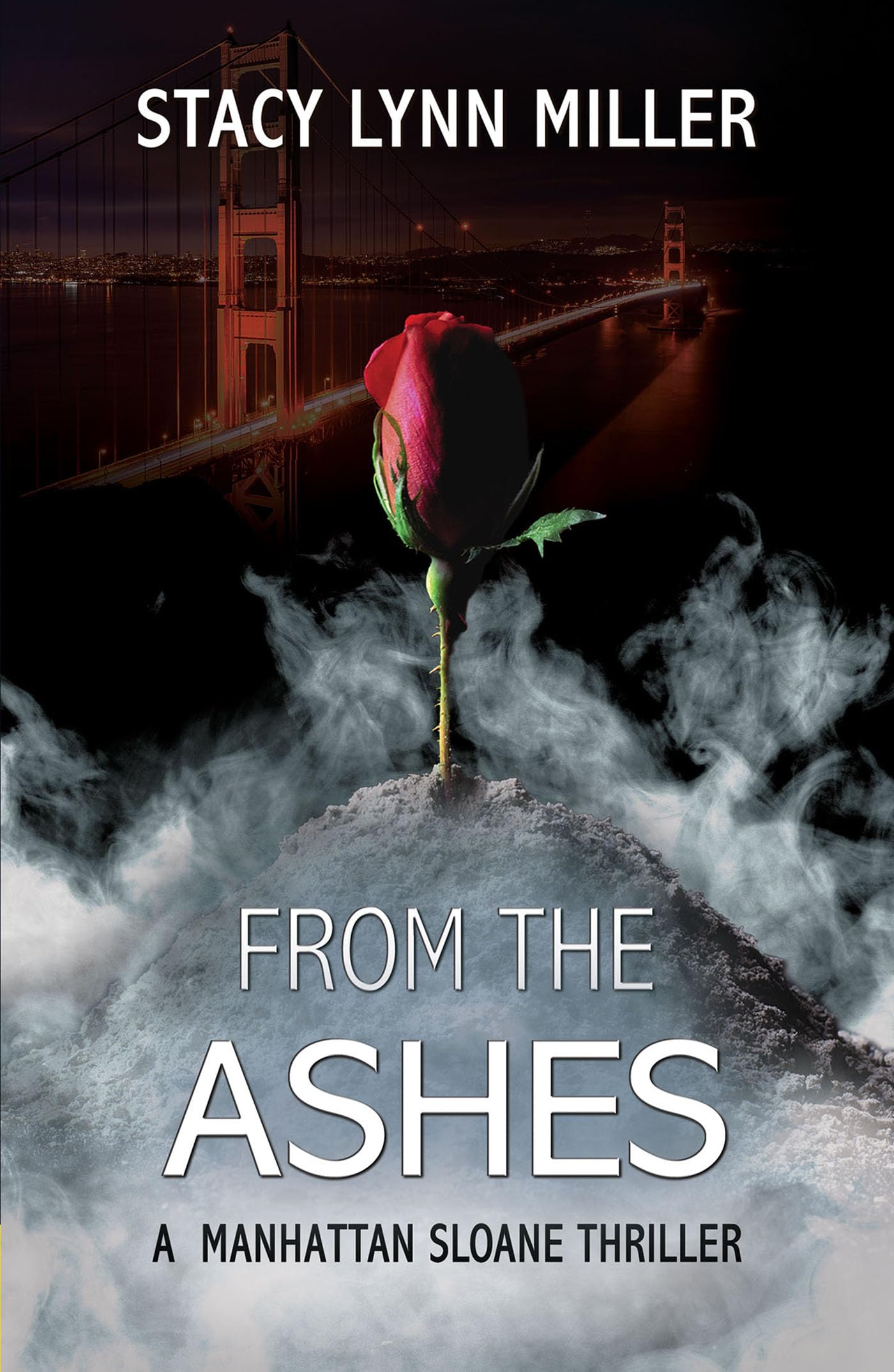 From the Ashes: 2 (A Manhattan Sloane Thriller)