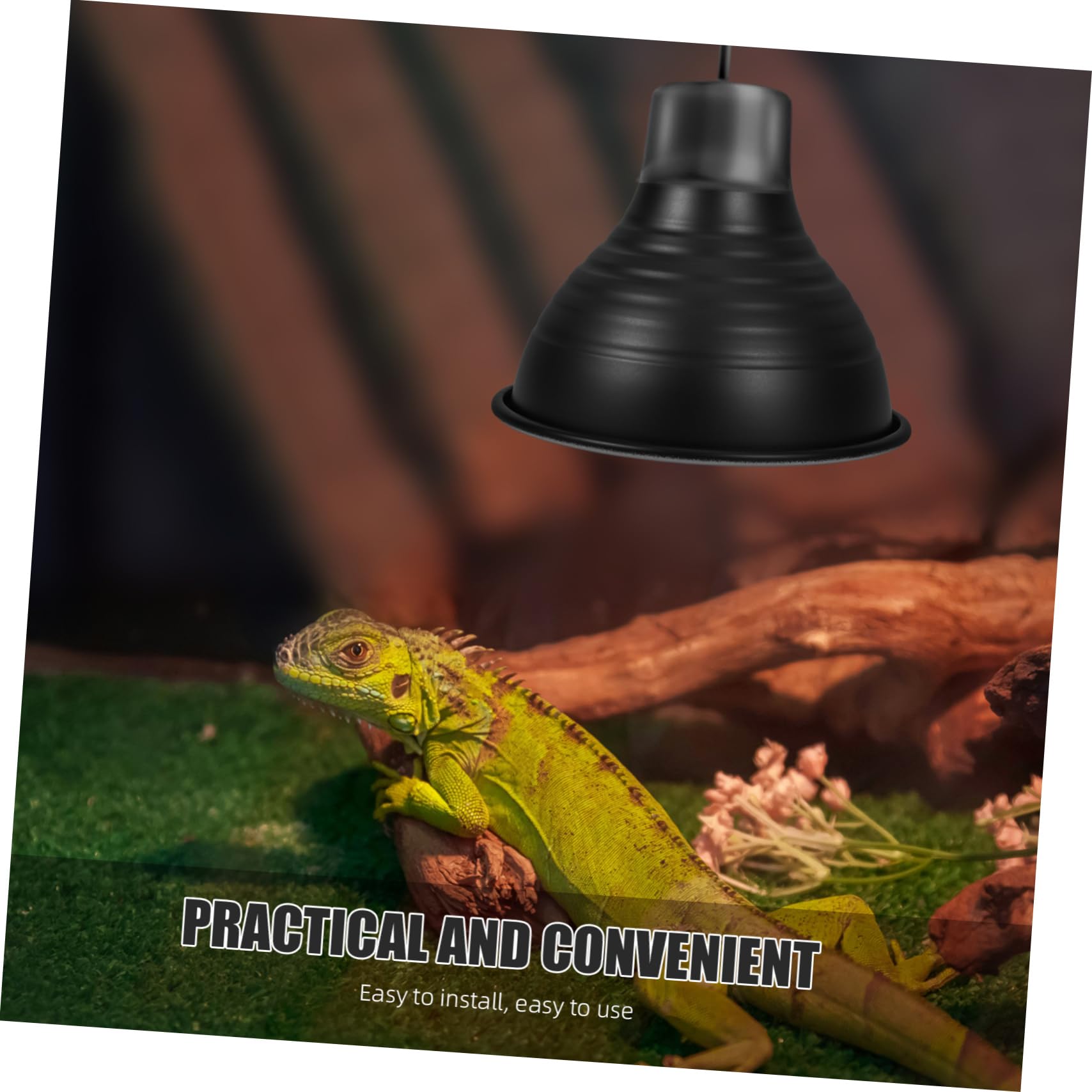 Ciieeo 5 Piezas luminarias para Reptiles Linterna LED Recargable luz de Calor para Reptiles Calentador Reptiles Accesorios de iluminación para Reptiles Bombillas Pantalla de Reptil Black