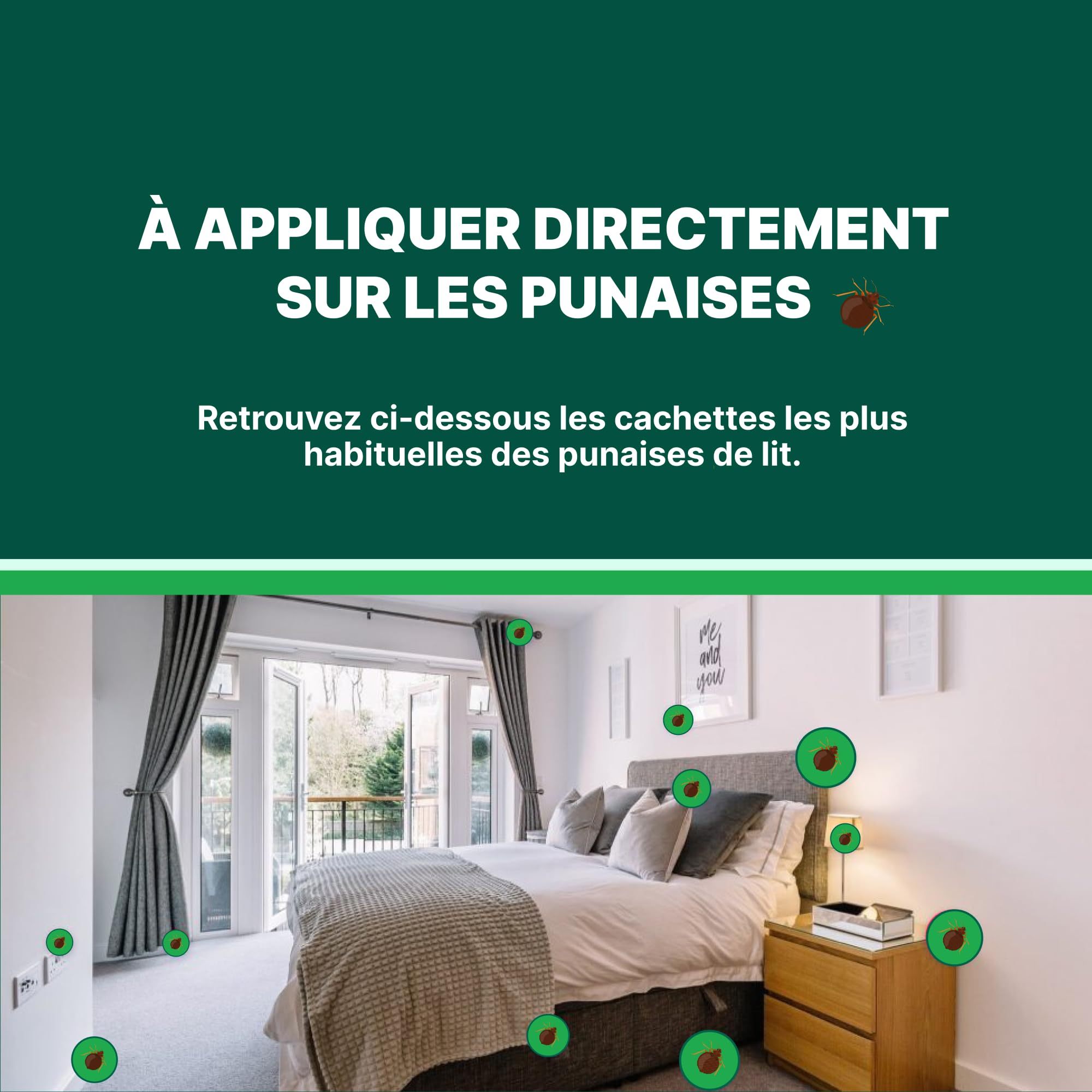 SPRAY CRYO ANTI PUNAISES DE LIT -40°C - 500ml - Élimine instantanément les Punaises de lit et les Oeufs - Applicateur de précision - Solution Naturelle Efficace sans Insecticide - GREENBUGS