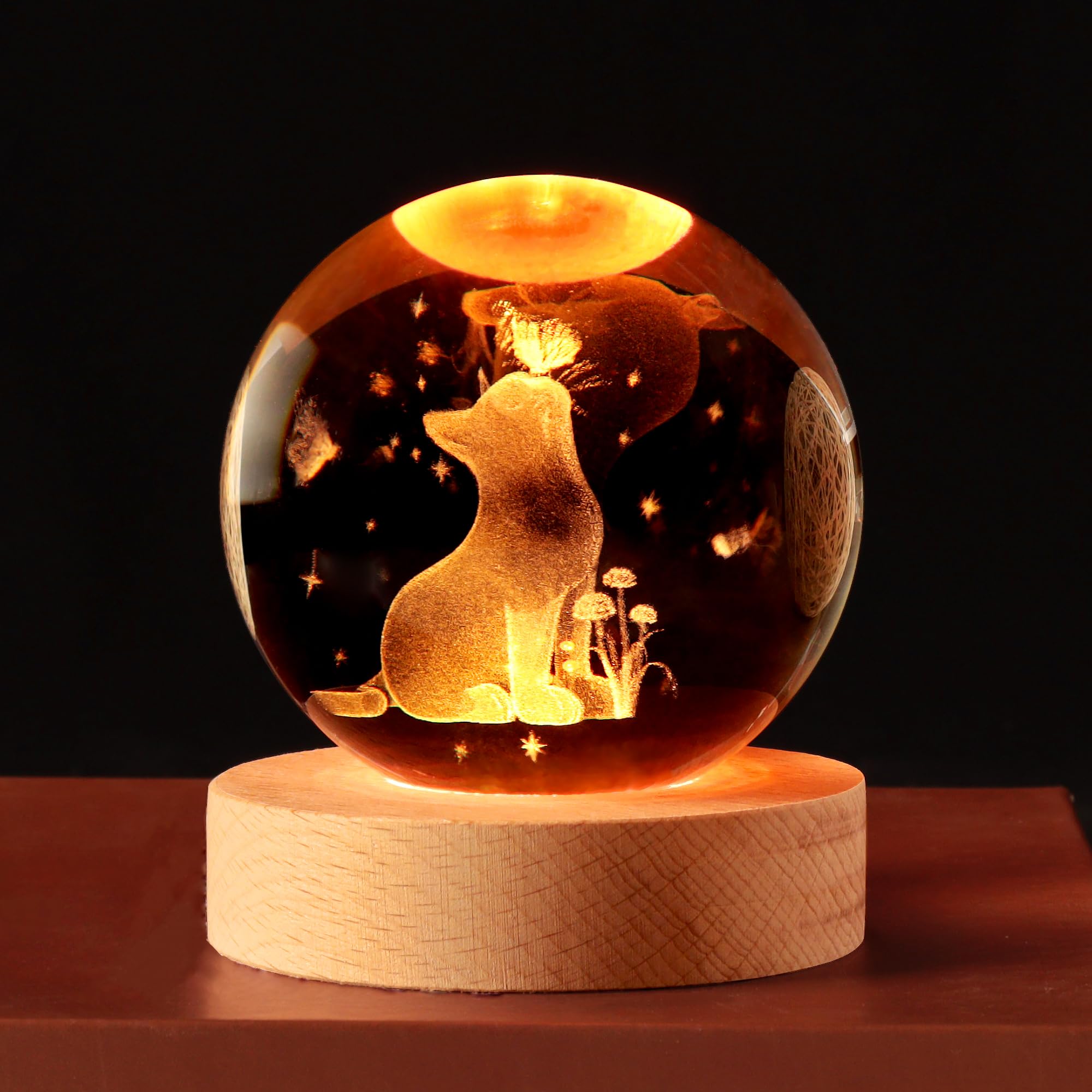 Simpatica lampada a sfera di cristallo con base in legno, idea regalo per amanti dei gatti, fidanzata, mamma, ragazza, Natale, compleanno, festa della mamma, decorazione per la casa