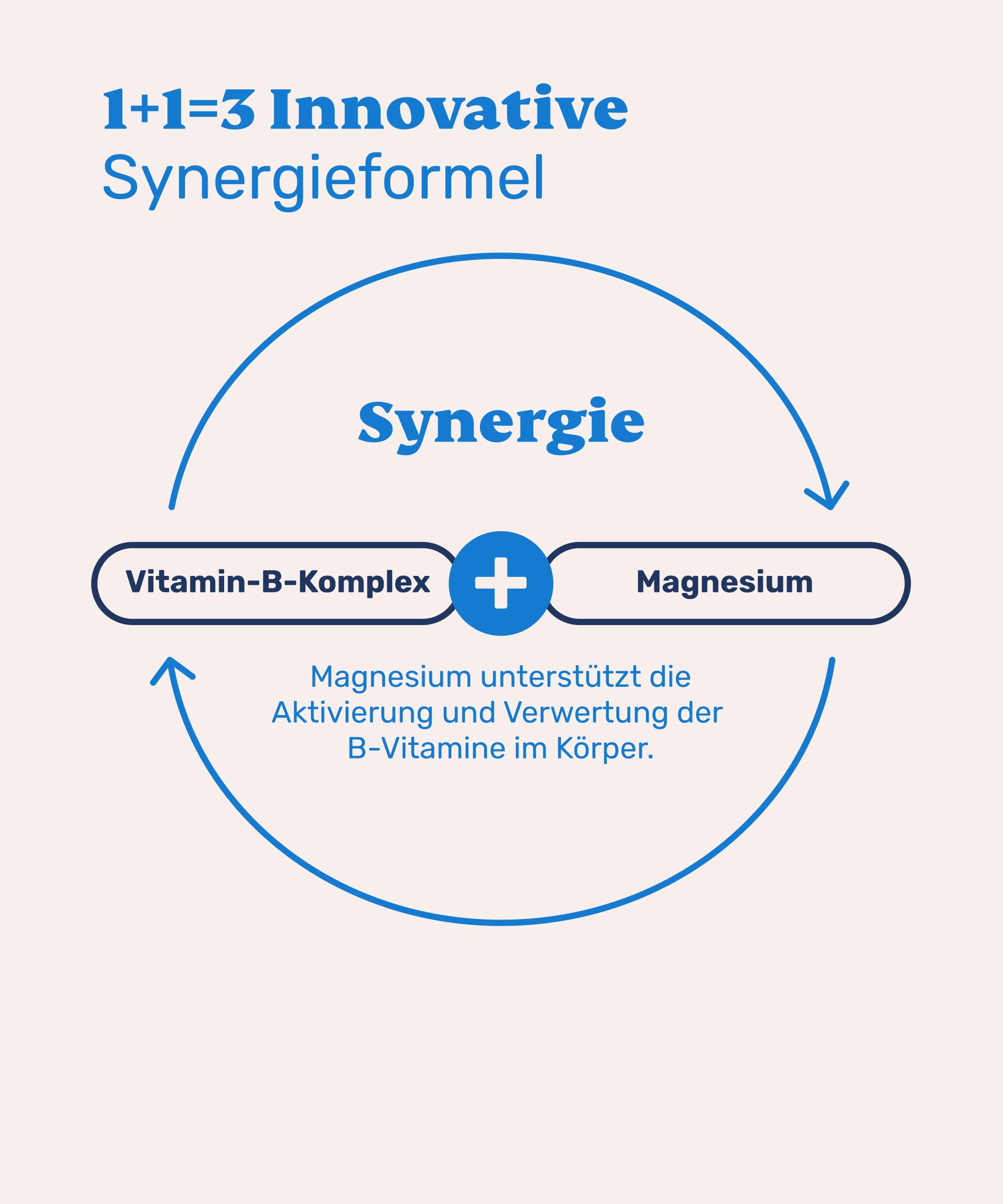 mammaly 4er BESTPREIS-Paket: Vitamin B Complete + Magnesium (bis 480 Tage) | mit 480 Tabletten (hochkonzentriert) für Stress, Haut & Fell - mit B12, Biotin - DLG zertifiziert - mit Tierärzten entwickelt