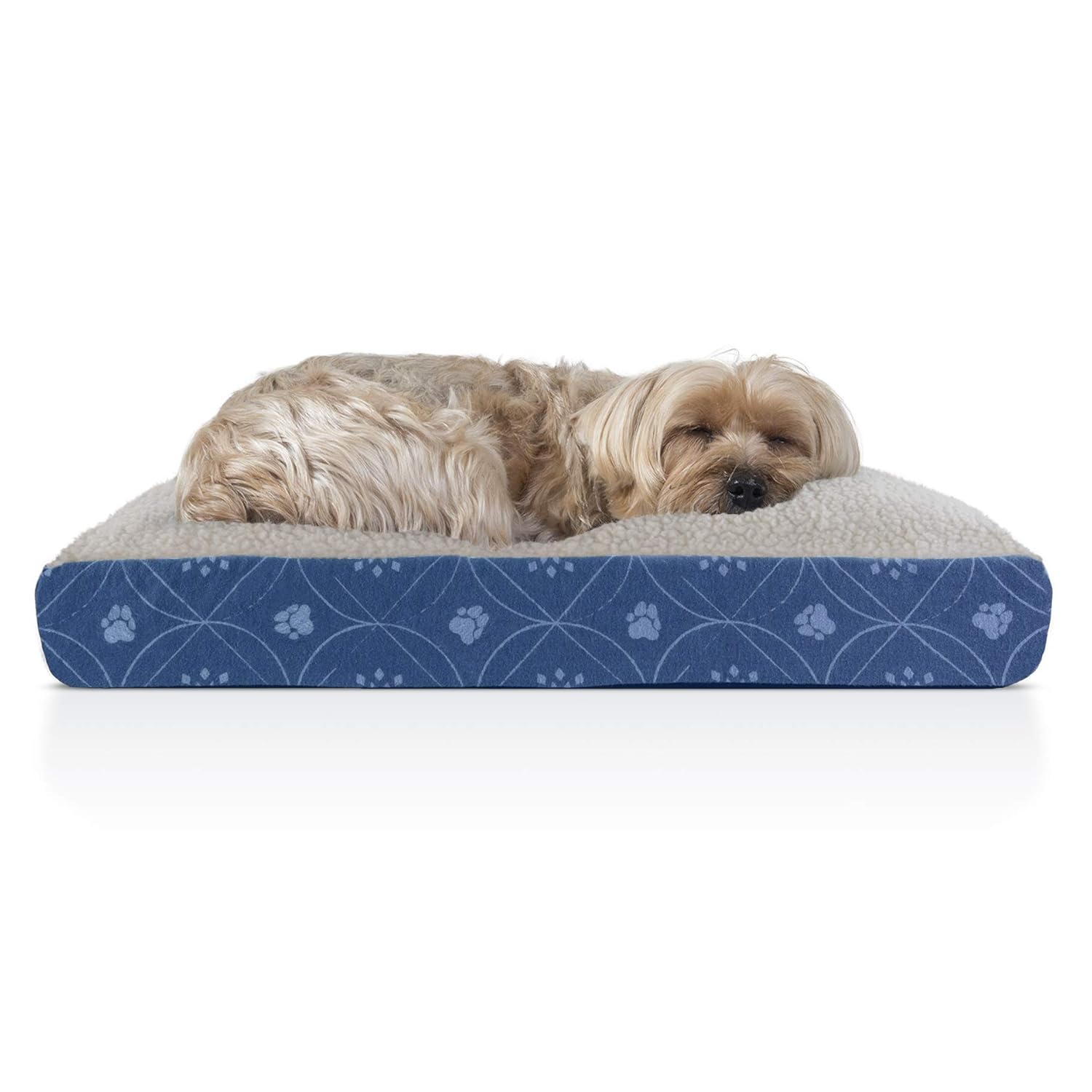 dog bed decor