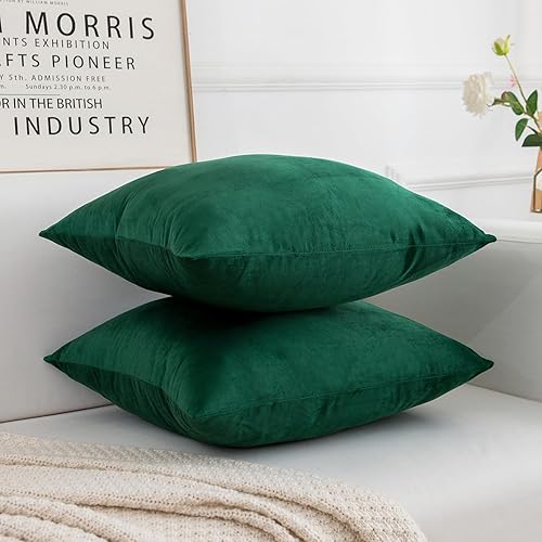 Miniatura 2 de RainRoad Juego de 2 fundas de almohada decorativas de terciopelo suave de 20 x 20 pulgadas para sofá y cama (verde oscuro, 20 x 20 pulgadas (paquete