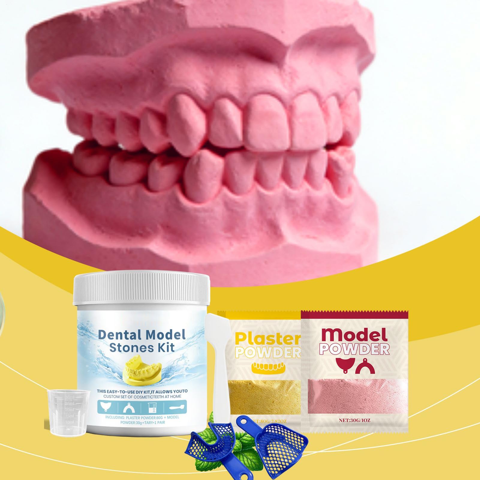 Forma dentystyczna, puder gipsowy do kształtu zębów | zestaw do tworzenia wzorów sztucznych zębów - dla dorosłych mężczyzn studenci edukacja demonstracja nauczanie