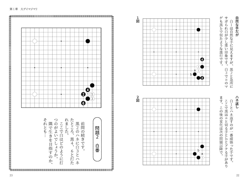 囲碁 本  敵情録上下20巻 2025年最新】適情録の人気アイテム - メルカリ