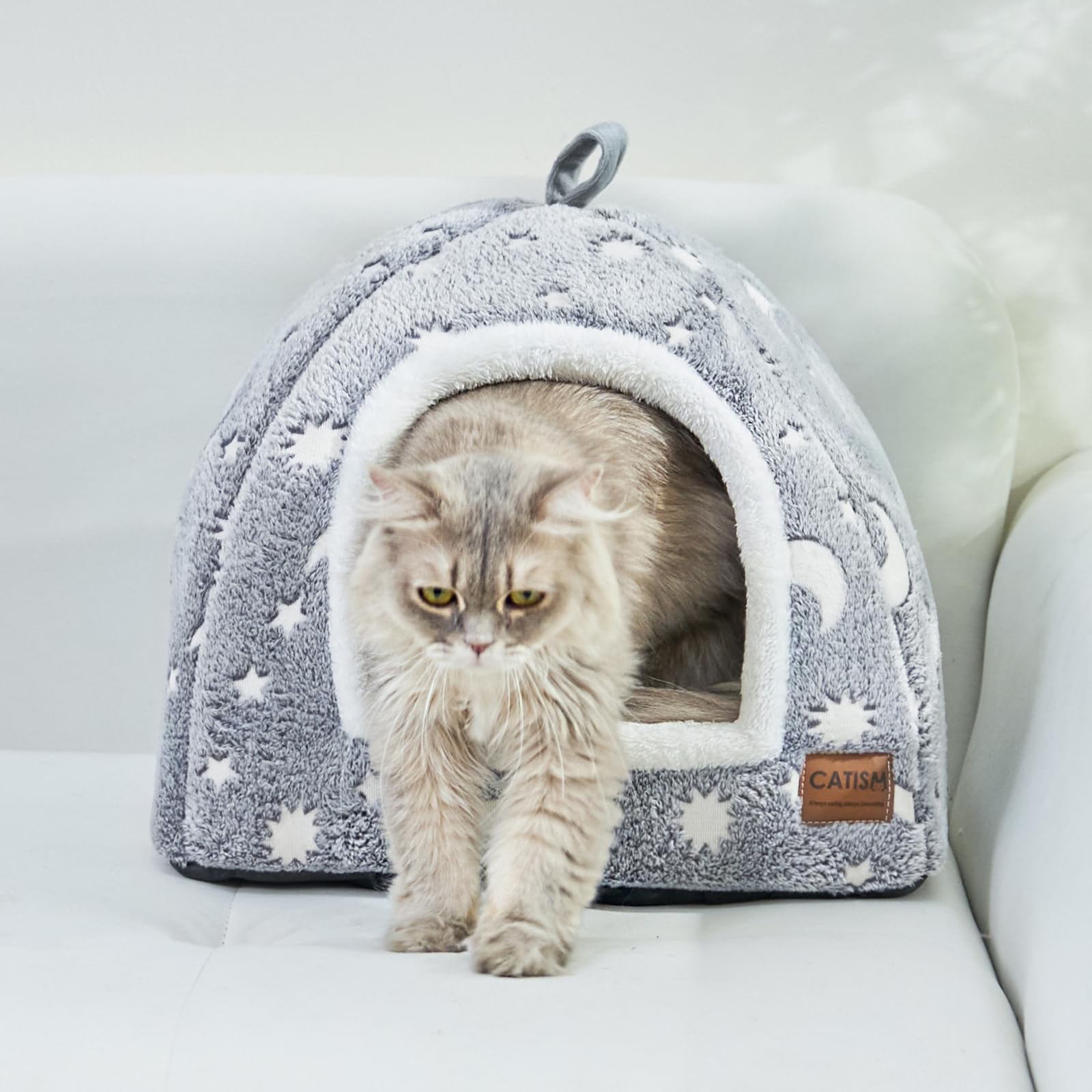 CATISM Lit pour Chat Phosphorescent - Lumineuse Niche pour Chat d’intérieur, Pliable Lavable Maison Chats avec Coussin Amovible, Fond Antidérapant, 40 x 40 x 38 cm