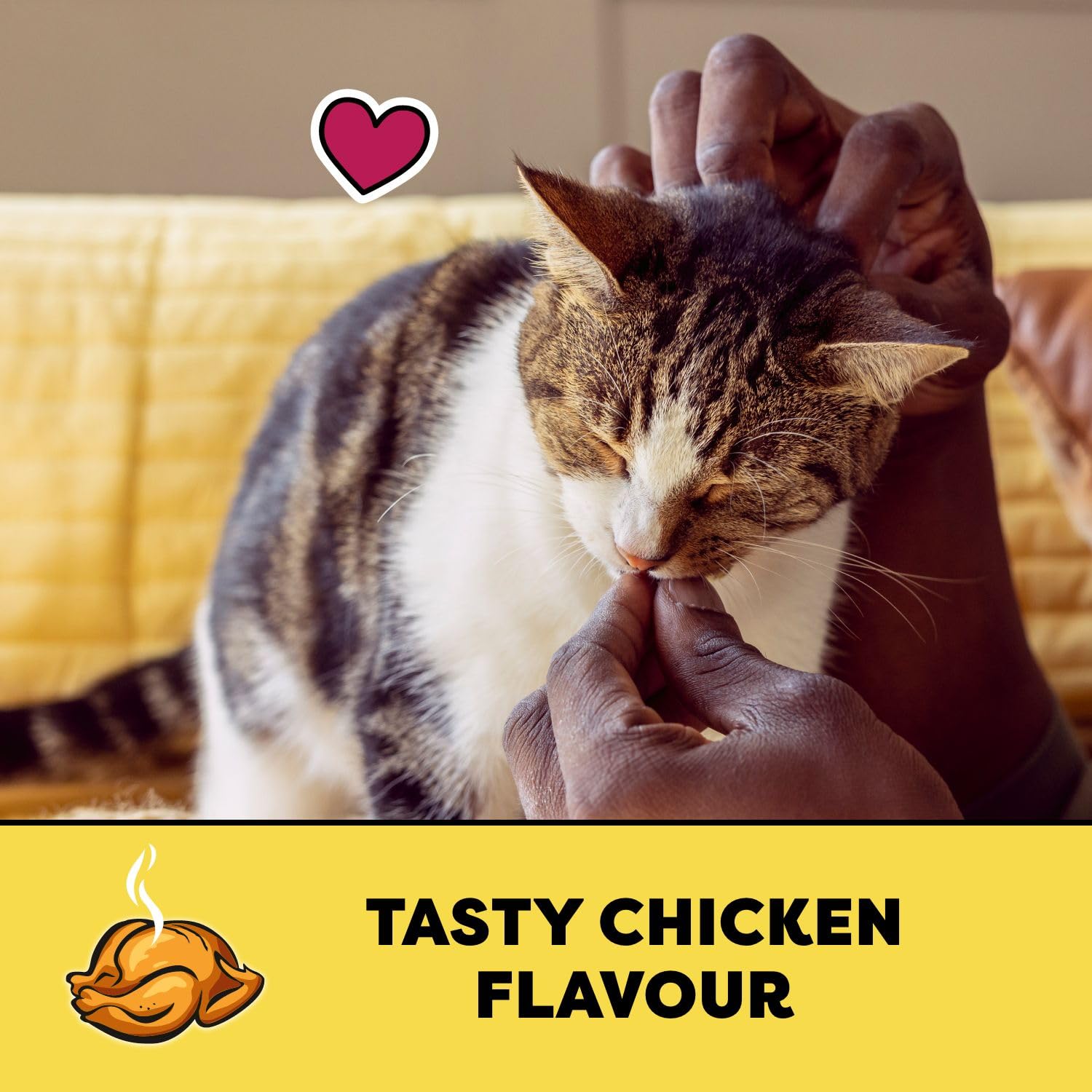 TEMPTATIONS Cat Treats, Tasty Chicken Flavour, 454g Tub - 4