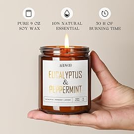 AOOVOO Eucalyptus Mint Candles - 9 oz Scented Candles, Aromatherapy Candle, Soy Candle for Home Scented