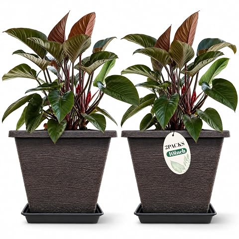 Usocik 10 Inch Square Planter Pots with Saucers, Coffee Brown, 2 Pack — $20.99 (48% off)