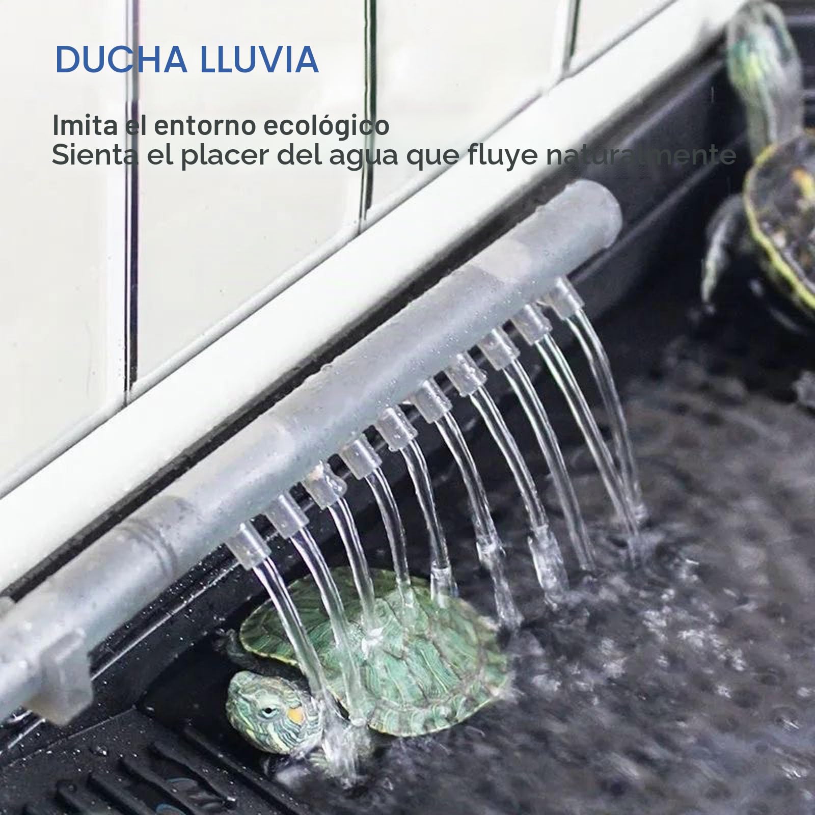 Terrario Tortugas de Tierra con Filtro de Agua para ducha| Acuario Plástico Tortugas de Agua | Kit Completo con Sistemi de Filtración | Caja para Cría de Reptiles y Fauna Box | Tanque Tortuga(Green Wi