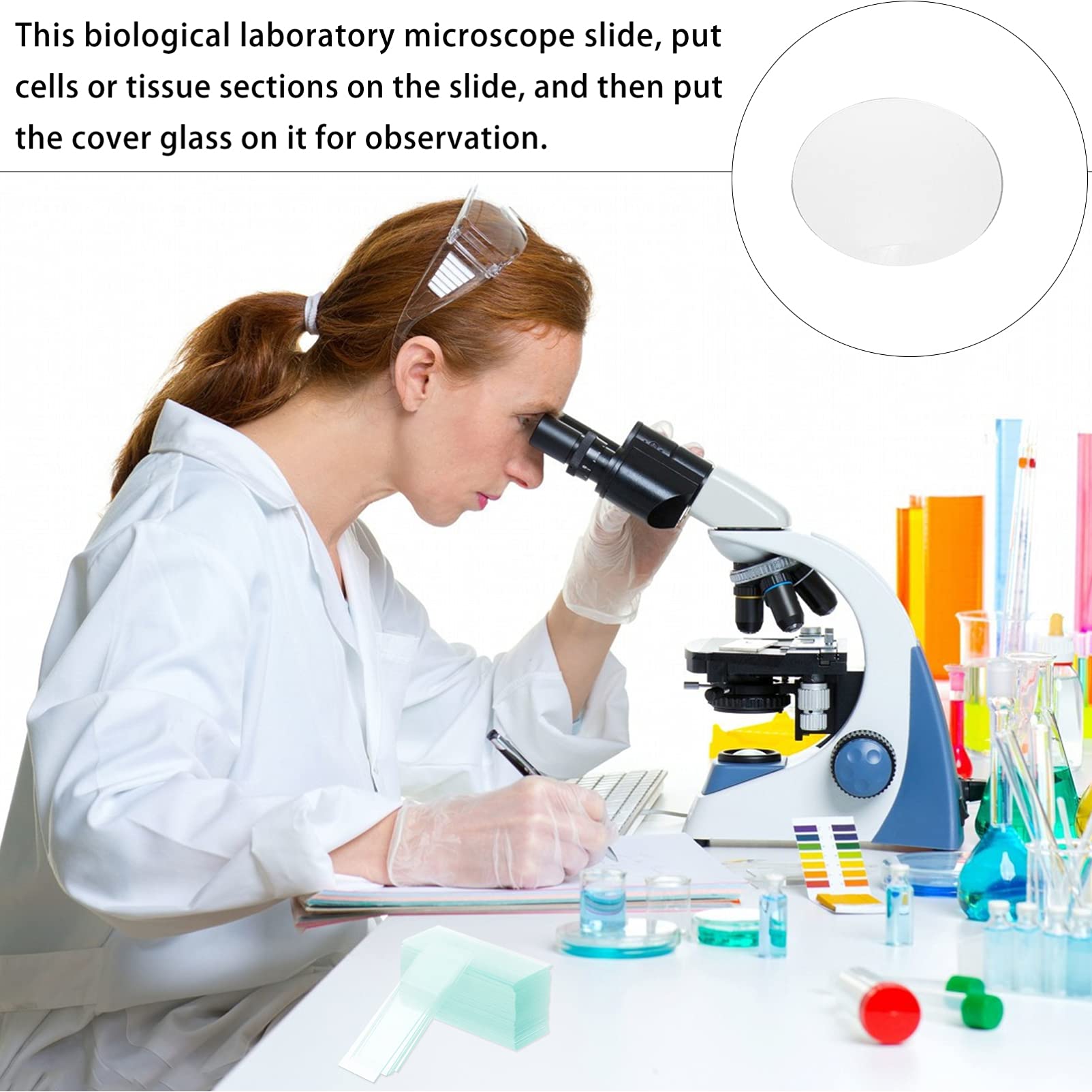 10 Bicchieri Da Laboratorio Con Coperchio - Vetreria Per Esperimenti E Evaporazione