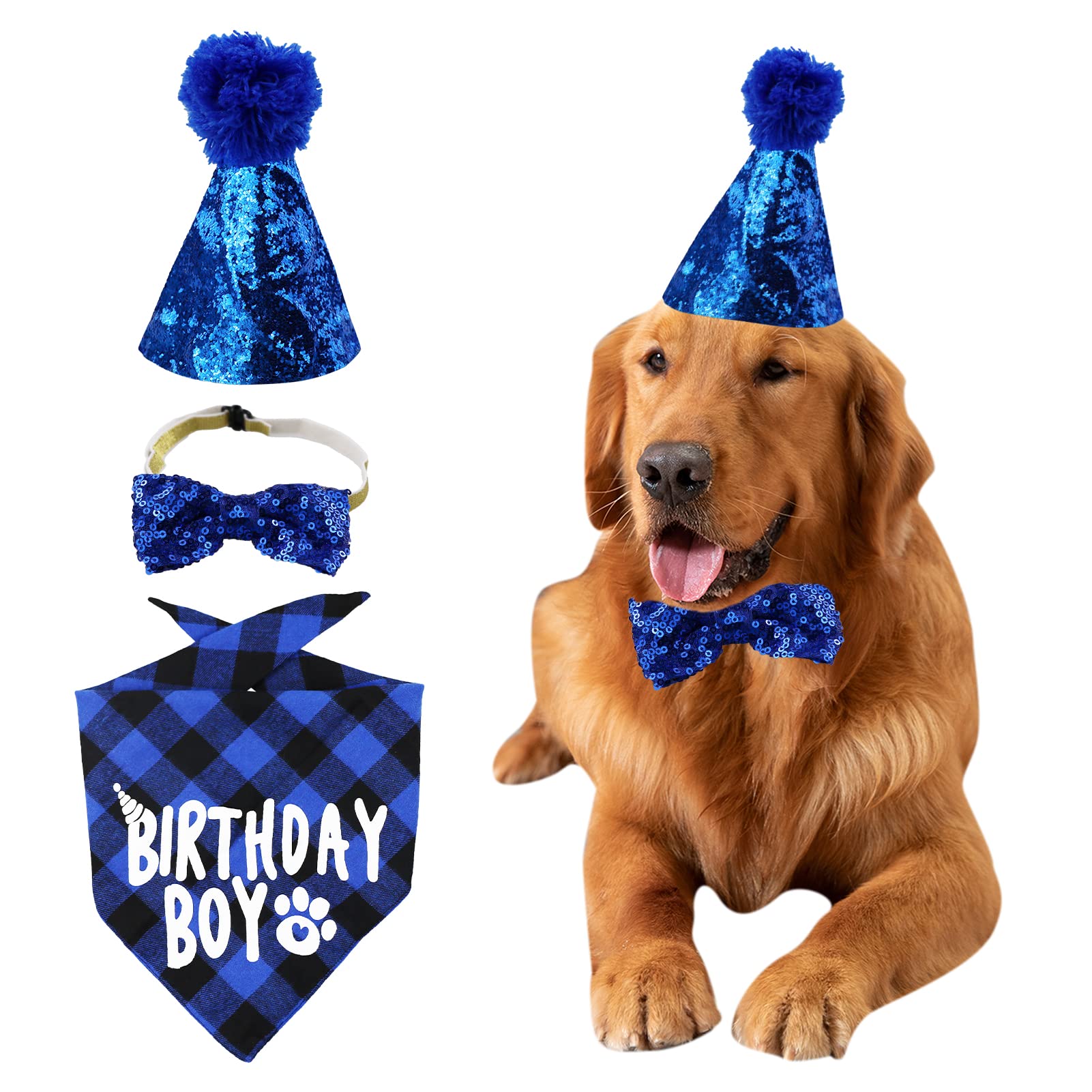 Hunde-Geburtstagsparty-Set – Hut, Halstuch & Fliege In Blau (inkl. Zahlen)