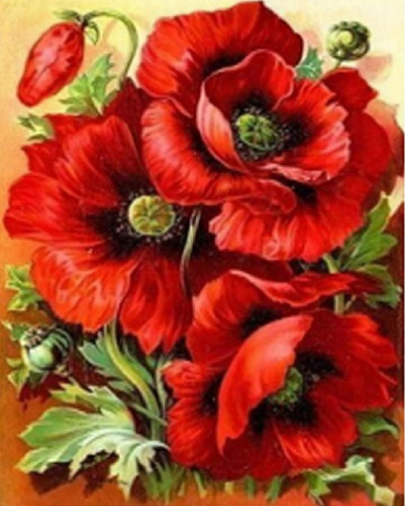 Wingkin Stamped Cross Stitch Kits Poppy Flower 11CT Advanced Pre-Printed Cross-Stitch Pattern Embroidery DIY Beginner Adults Kids Home Decoration （40x50cm）