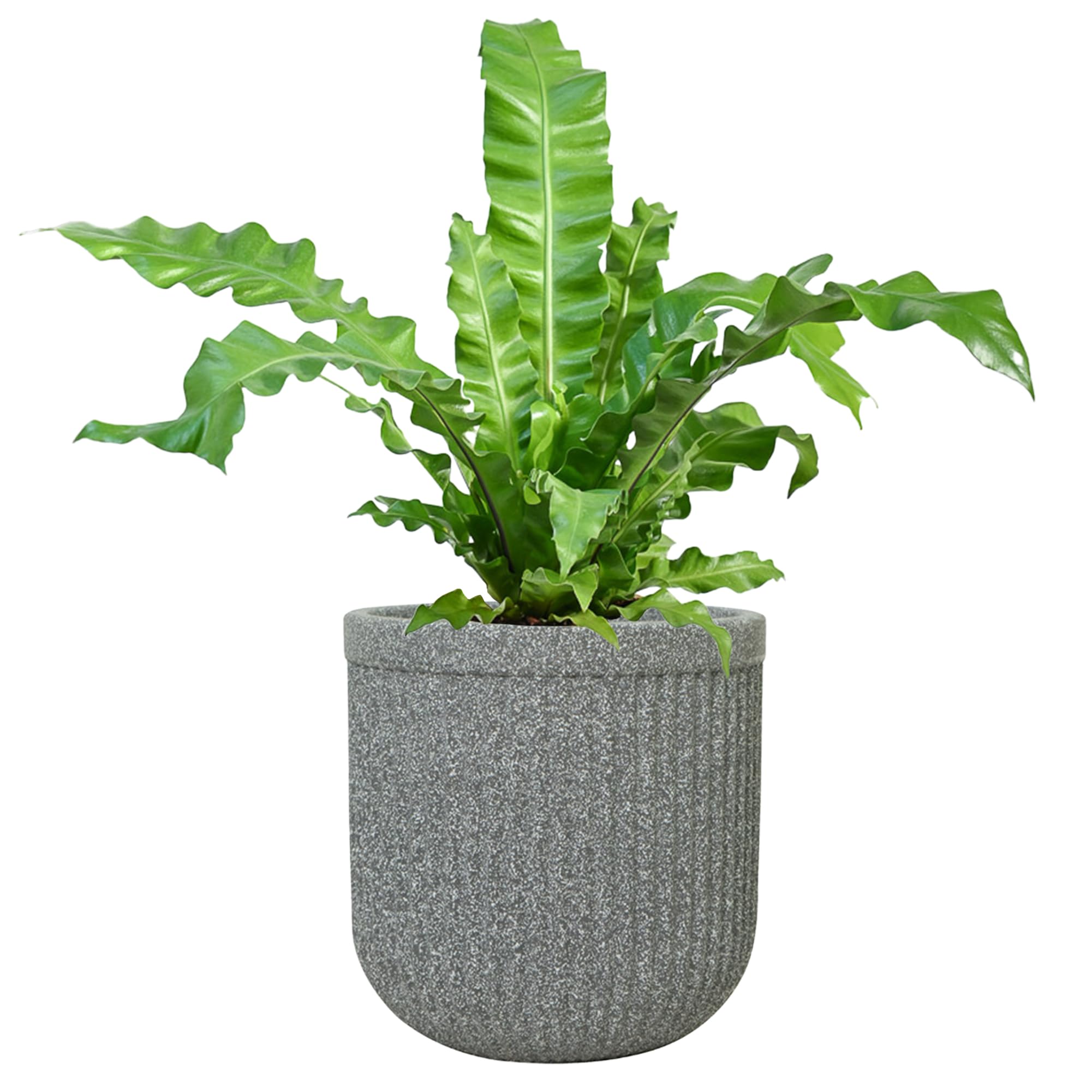 UGAOO Tokyo Round Pots for Plants (20 inches, Graystone) | Durable Planters for Indoor & Outdoor Use | Stylish Flower Pot Gamla for Living Room, Balcony, Garden (B0D2LHTMTW) Amazon Price History, Amazon Price Tracker