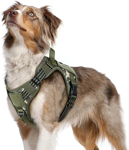rabbitgoo Arnés táctico para perro, sin tirones, chaleco militar con asa y Molle, arnés para perro de servicio de fácil control para perros