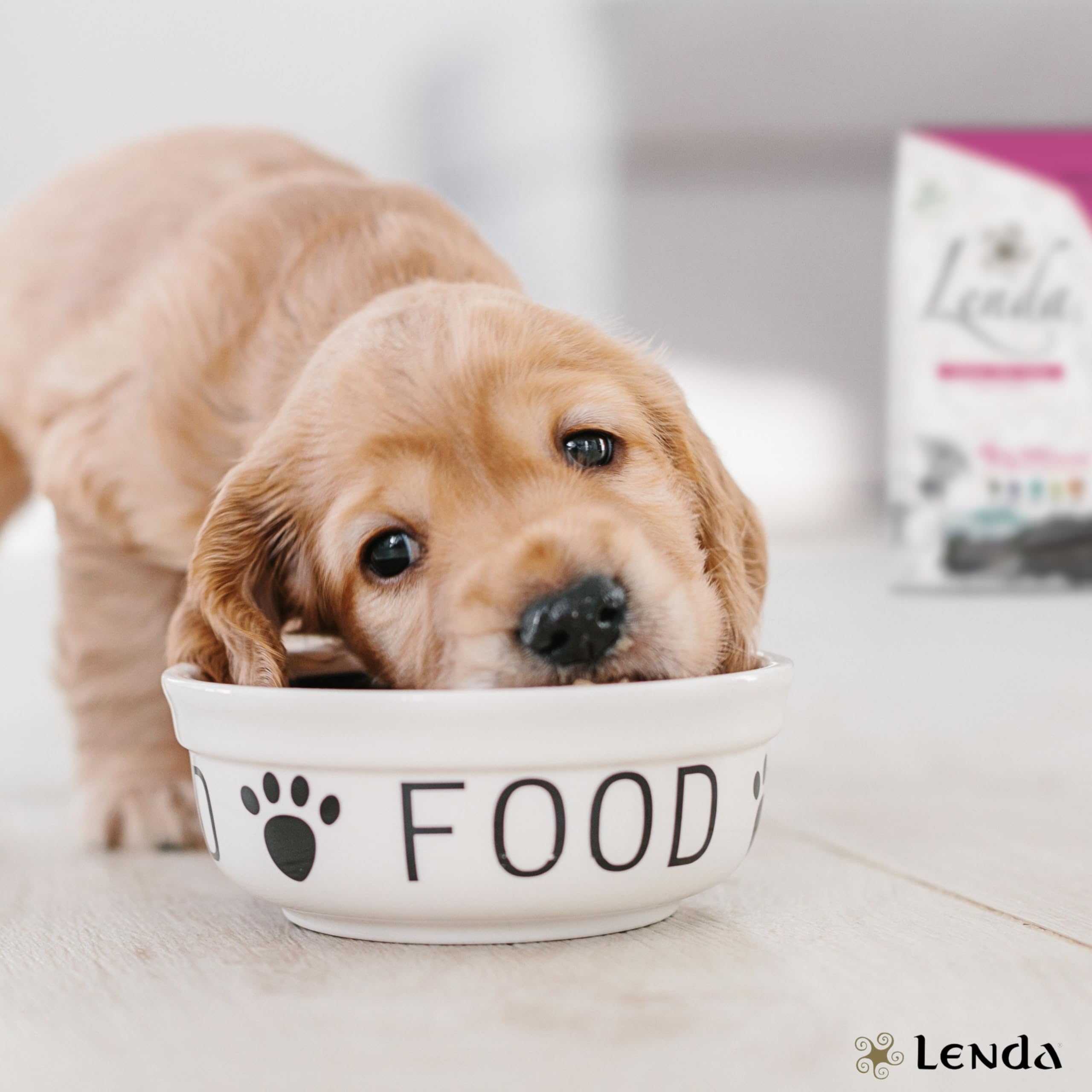 Lenda Puppy 6 kg - Crocchette Cucciolo Cane Ipoallergeniche Per la Crescita - Croccantini Cane Puppy per Tutte le Razze - Con condroprotettori - Alimento Naturale - Crocchette Cuccioli Junior