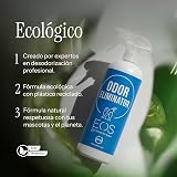 Ver la foto 8