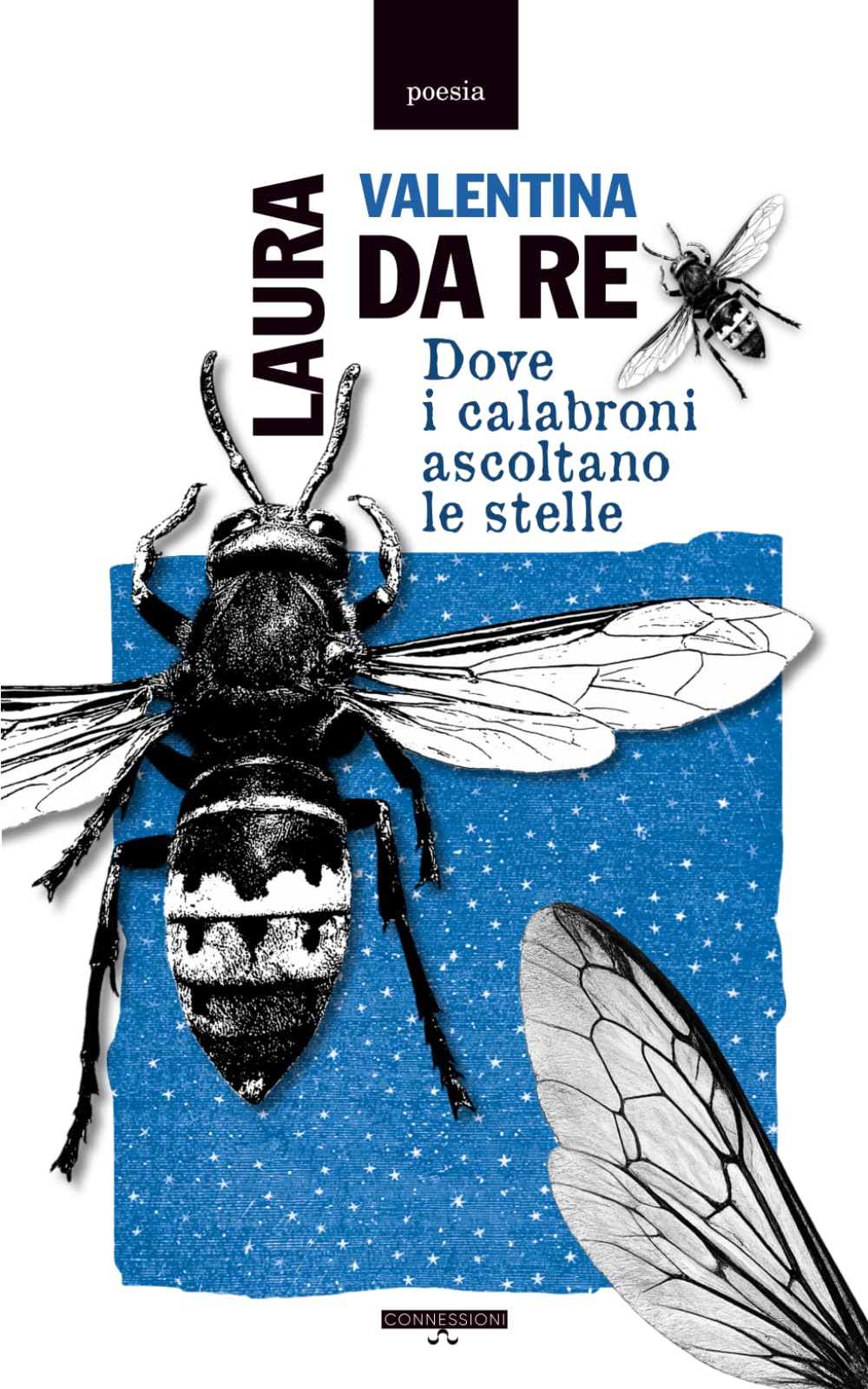 Dove i calabroni ascoltano le stelle