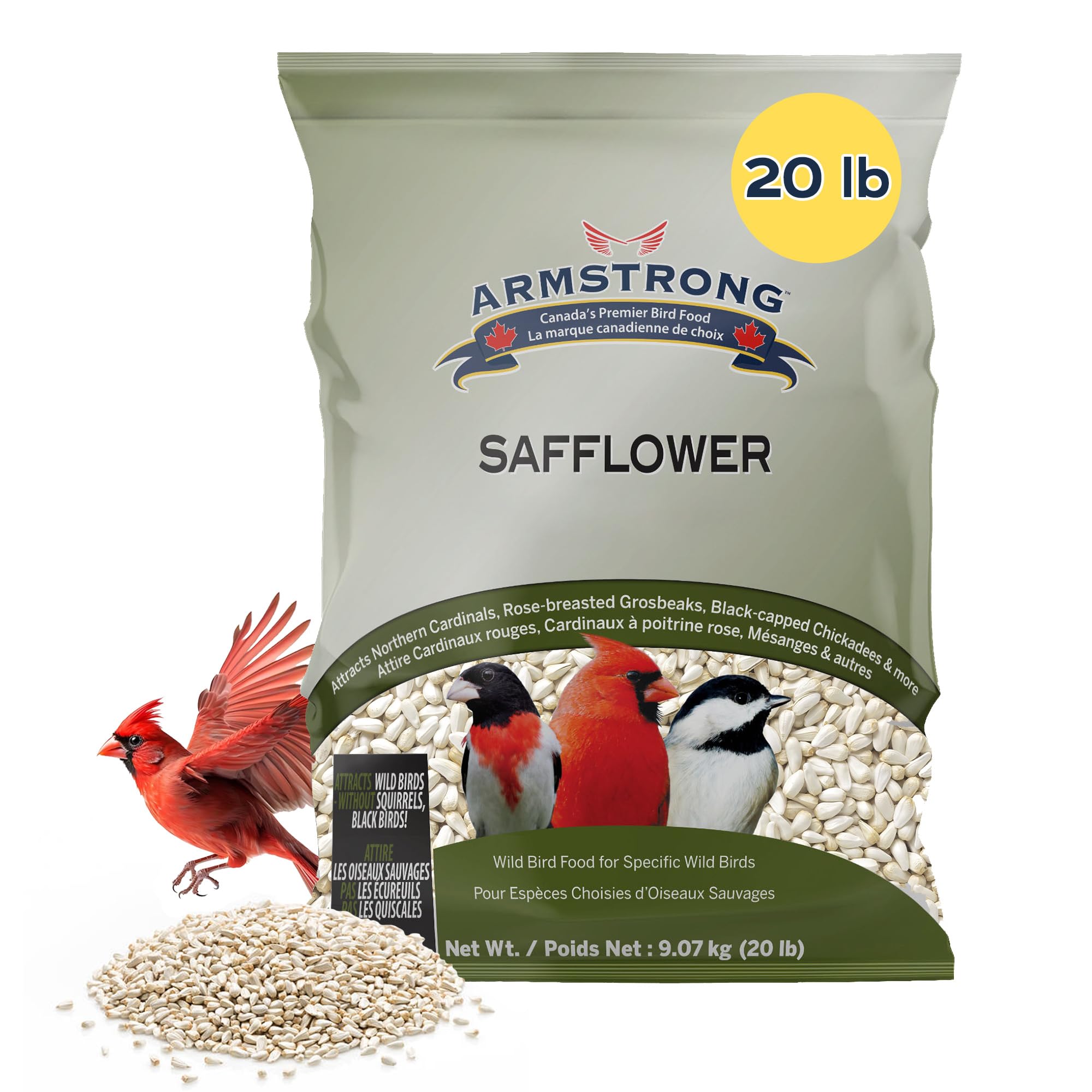 Amazon.com: Armstrong Wild Bird Food Safflower Bird Seed, 20