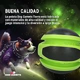 Ver la foto 2