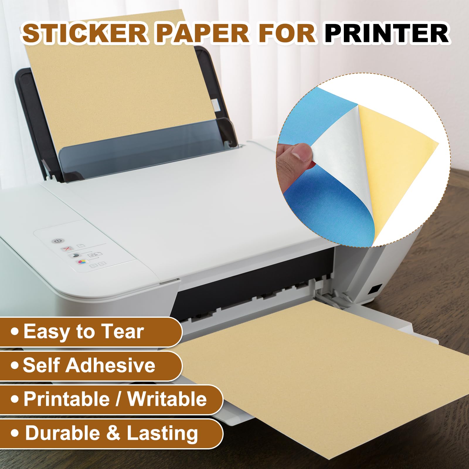 View 4
