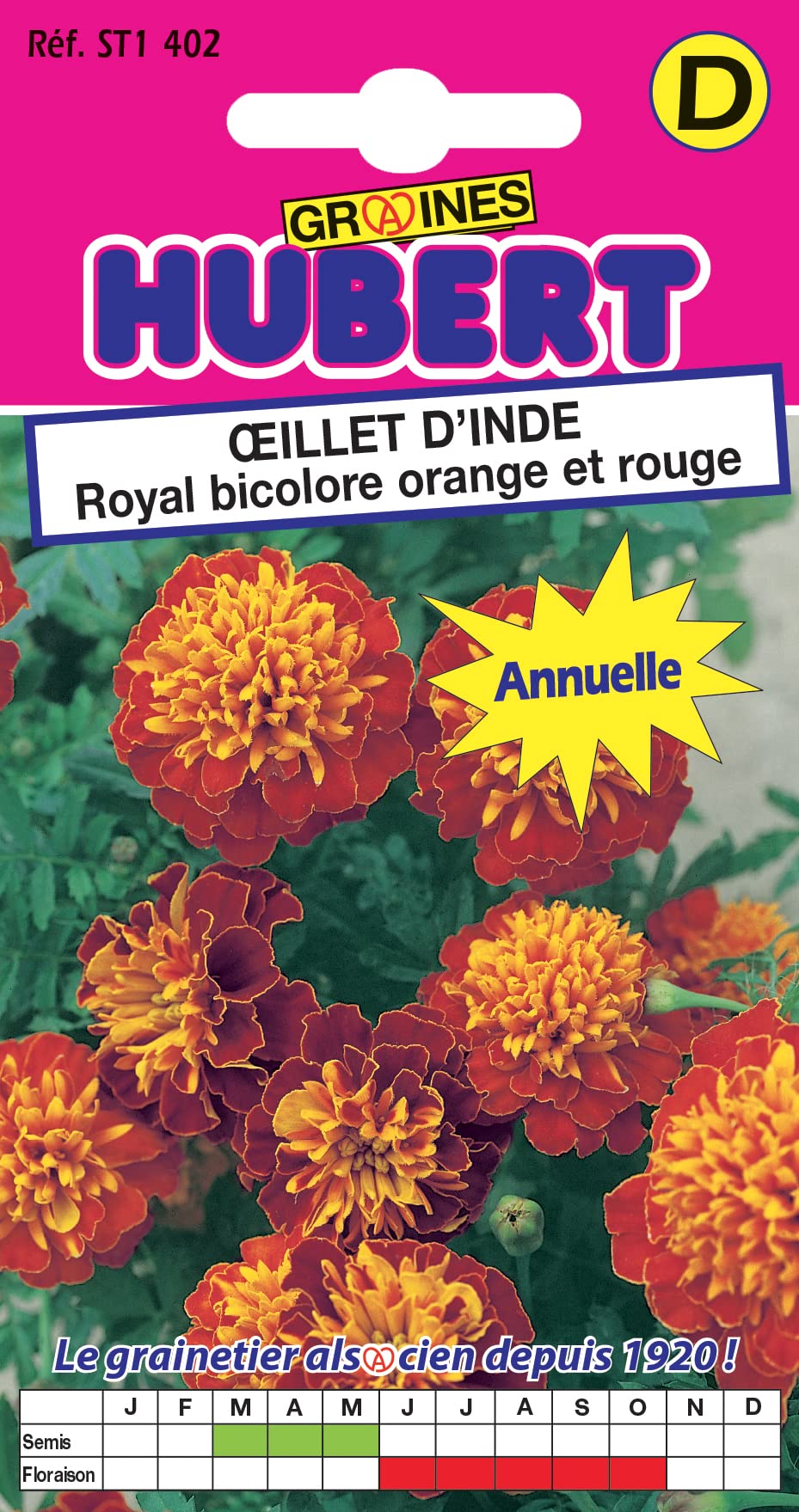 Graines œillet D'Inde Carmen Vilmorin - Rouge Brun Bordé Or - Floraison Abondante - Pour Massifs Et Pots