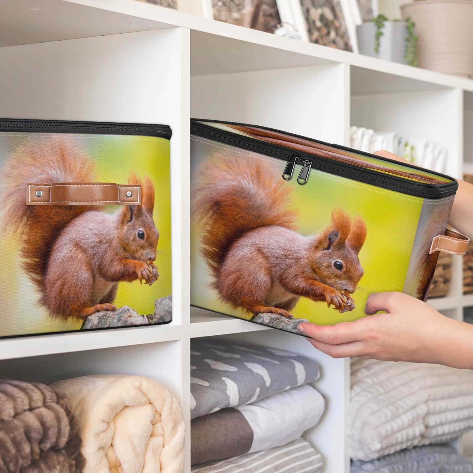 TropicalLife Niedliche Eichhörnchen-Aufbewahrungsbox, faltbar, Stoff, Eichhörnchen, großer Aufbewahrungskorb mit Reißverschluss, Deckel, Schlafzimmer, Zuhause, Kinderzimmer, Organizer für Spielzeug,