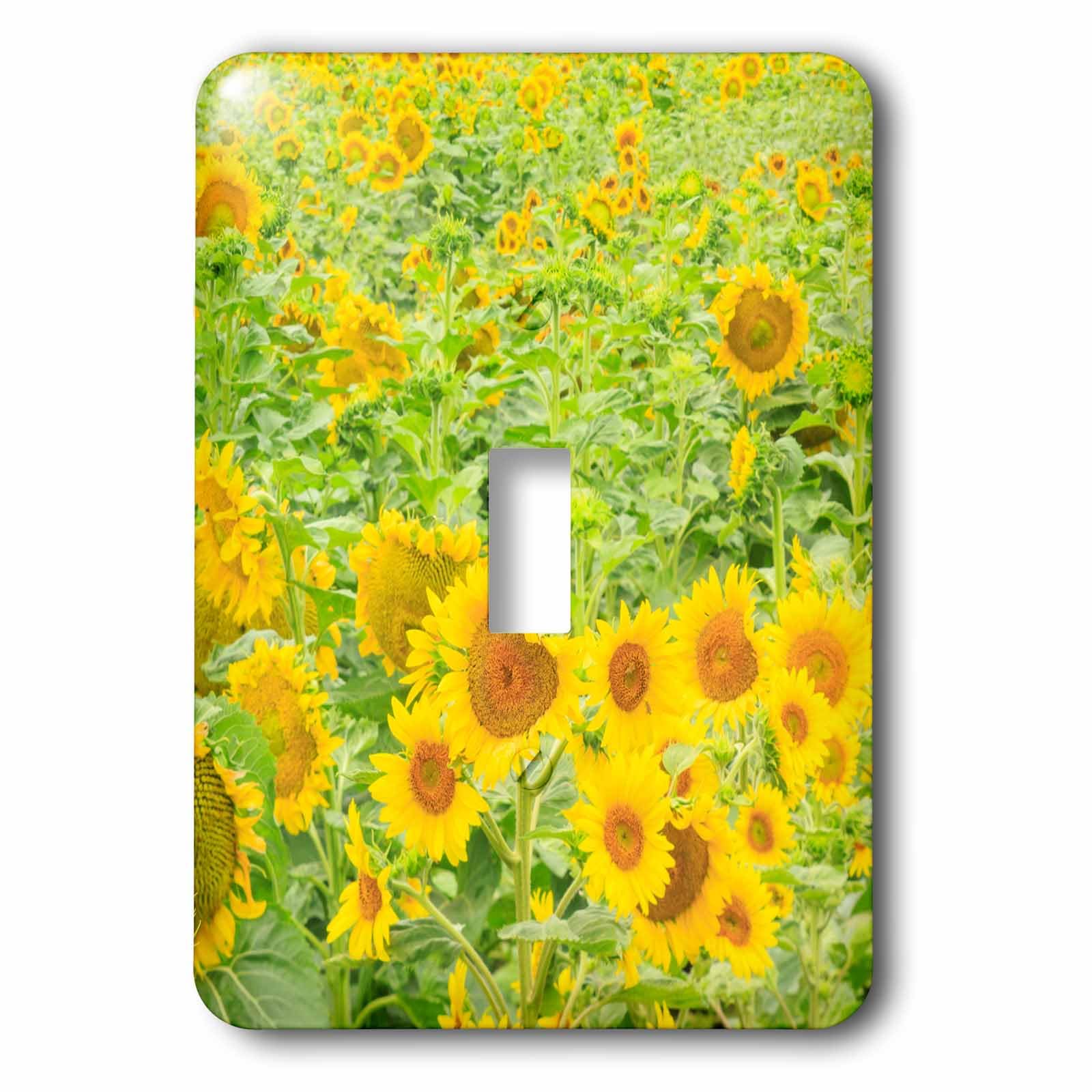 Interrupteur à bascule simple motif grand champ de tournesols et paysage USA