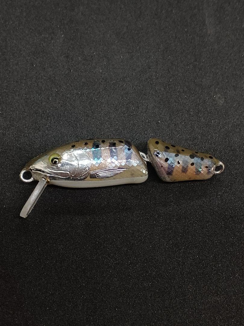 サーモンゴブリンショップオリカラシェルグローアキアジ鮭！ 重要