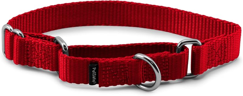 Coleira Martingale para Cães PetSafe em Nylon Vermelho 1,9 cm Pequena