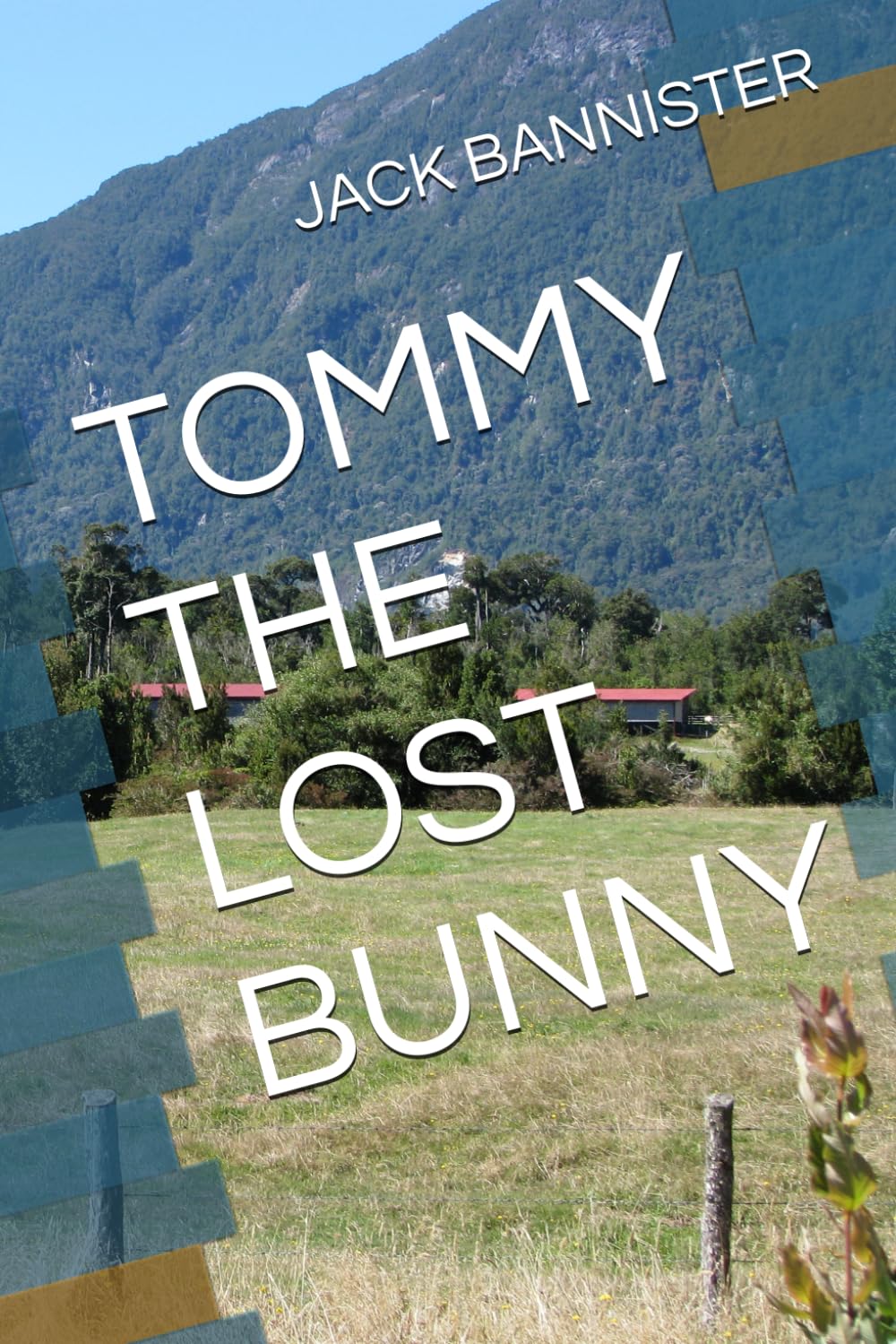 TOMMY THE LOST BUNNY