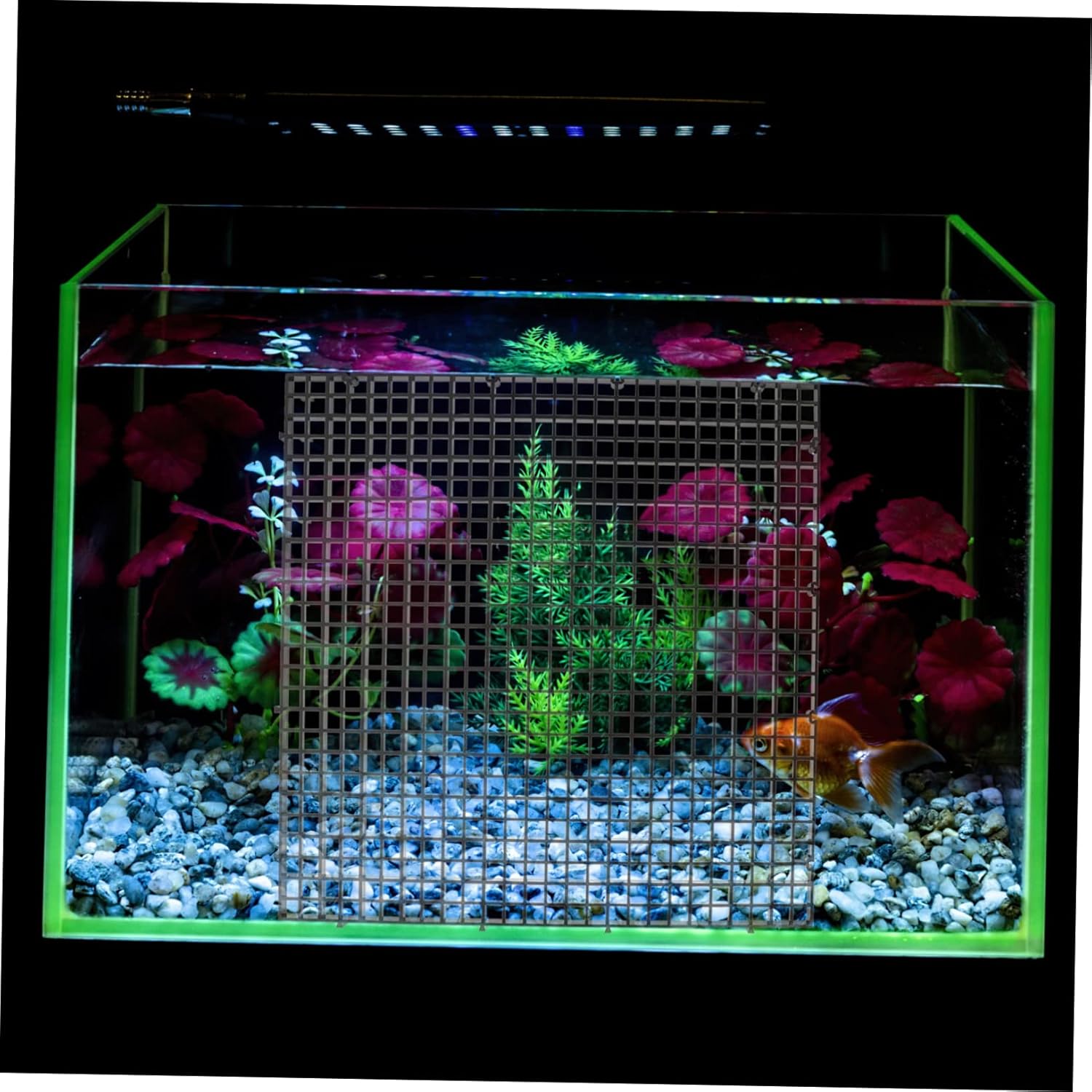 1 Set Fish Isolation Board Overhead Aquarium para Aquarium Fish Fish Tanks Diffuser Pond Fin Filters Clear Fish Bowl Fish Partition Net Black PVC