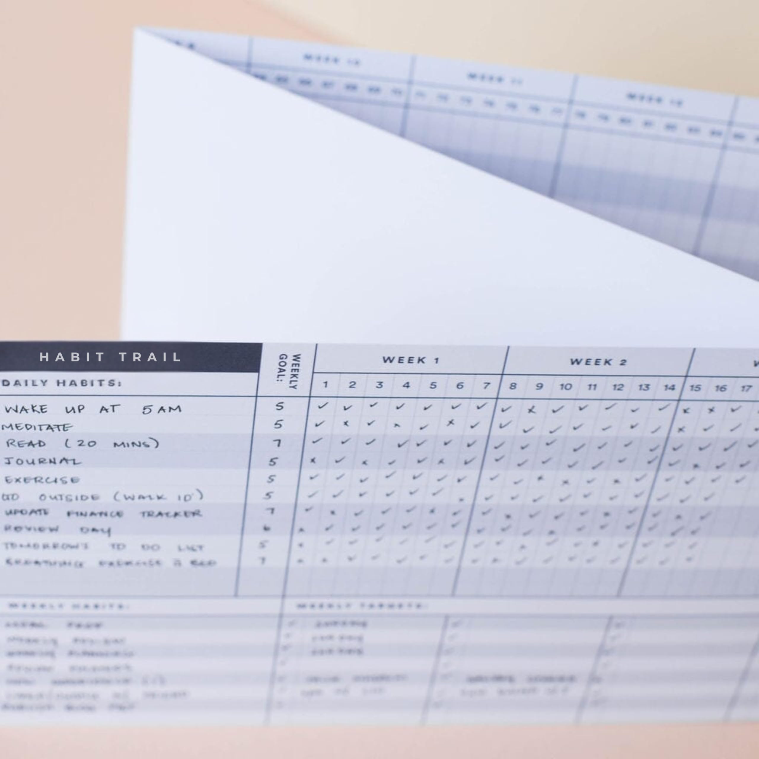 SHENZATION Habit Trail for Motivational Goals Journal, Productivity Tool and Weekly Habit Tracking | 6-Month system includes two 13-week cards | Daily Habit Tracker Journal and Goal Board 4