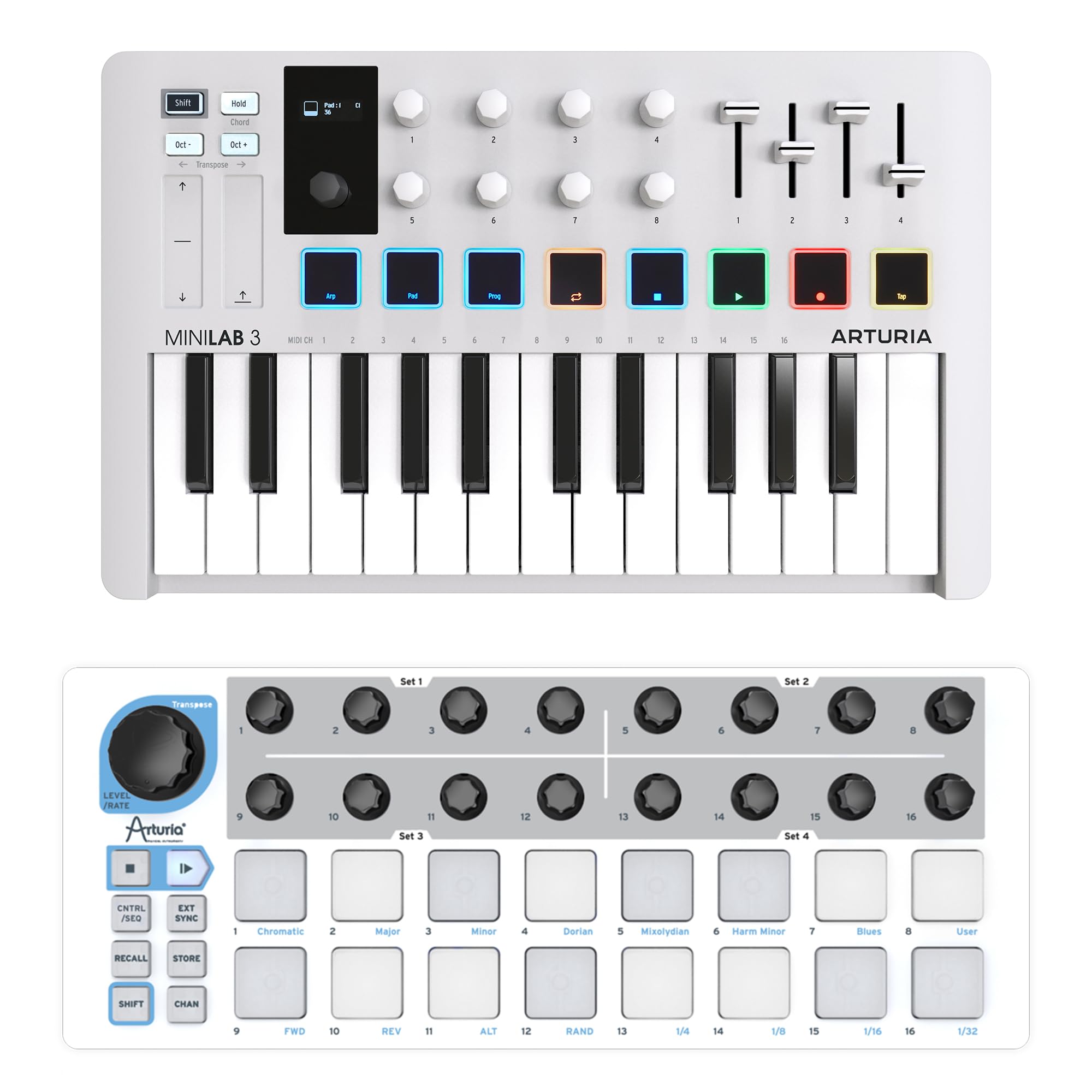 Amazon.com: Arturia MiniLab 3 MIDI Controller & Beatstep