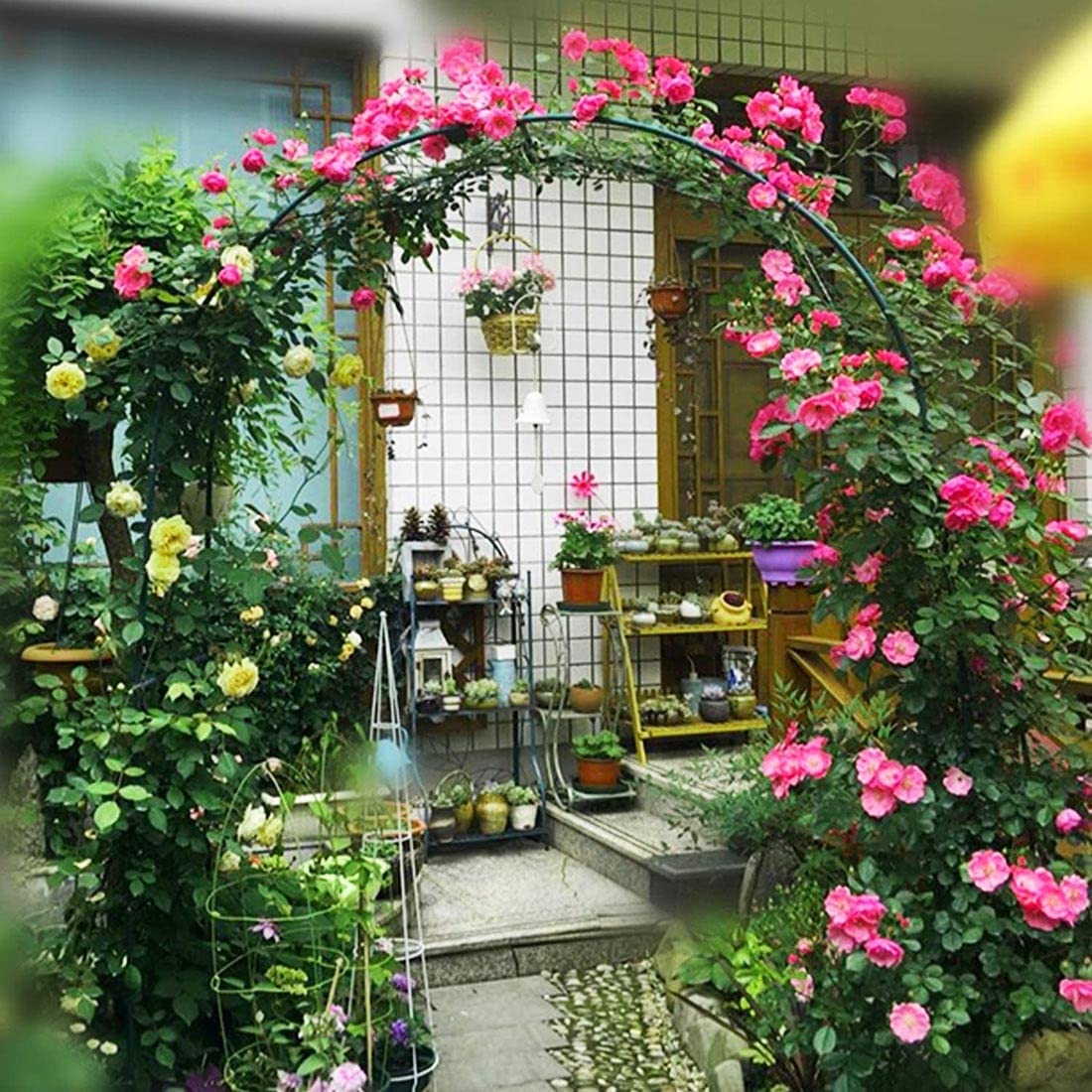 Amazon.co.jp: 幅80x高さ200cmメタル ローズアーチ ガーデンアーチ