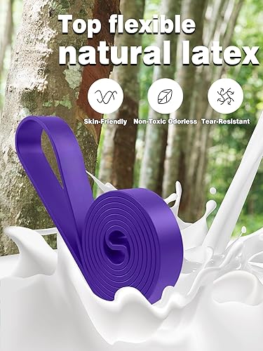 Miniatura 3 de Bandas de asistencia para dominadas, bandas de resistencia, juego de bandas largas de entrenamiento de ejercicio con asas y anclaje de puerta, banda