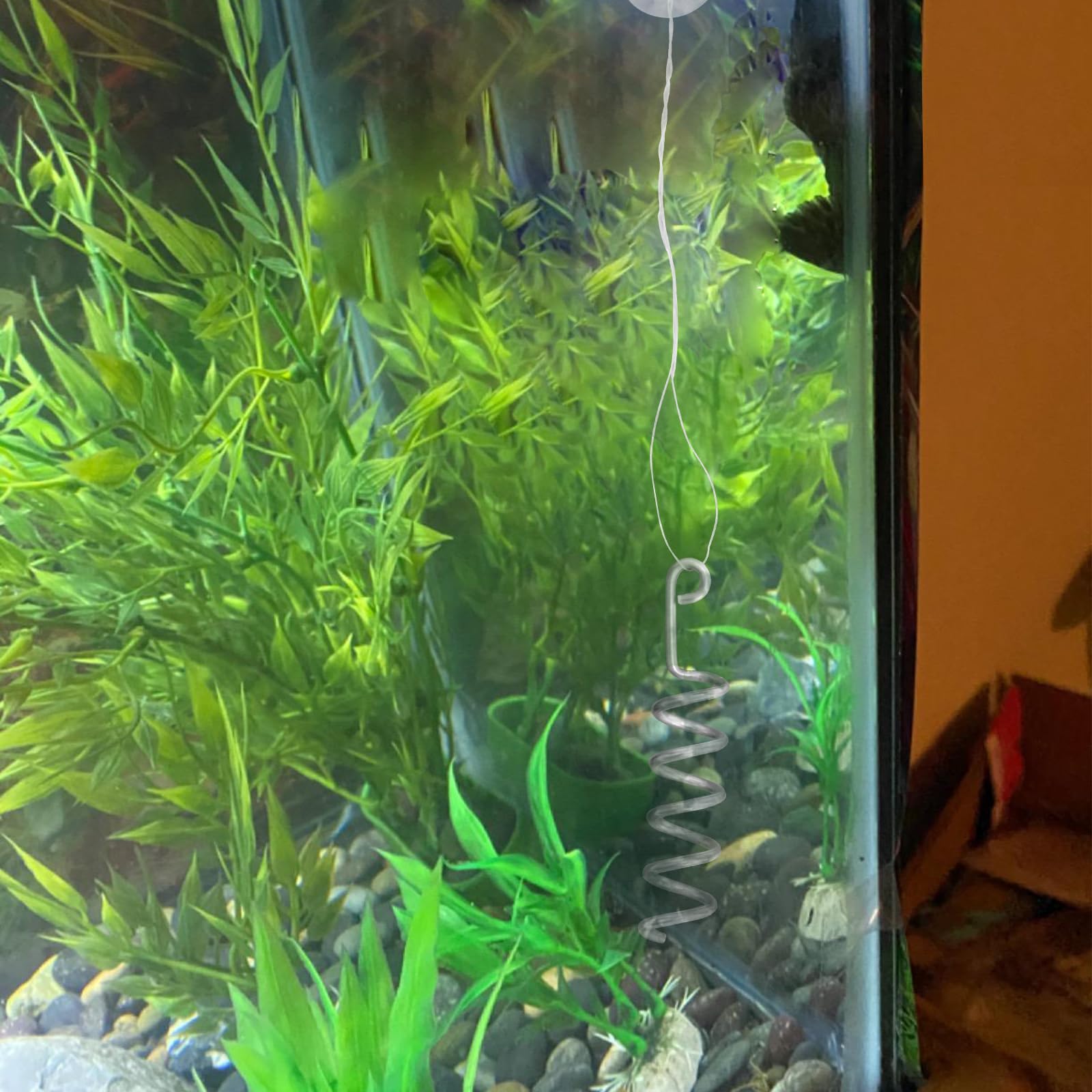 View 5