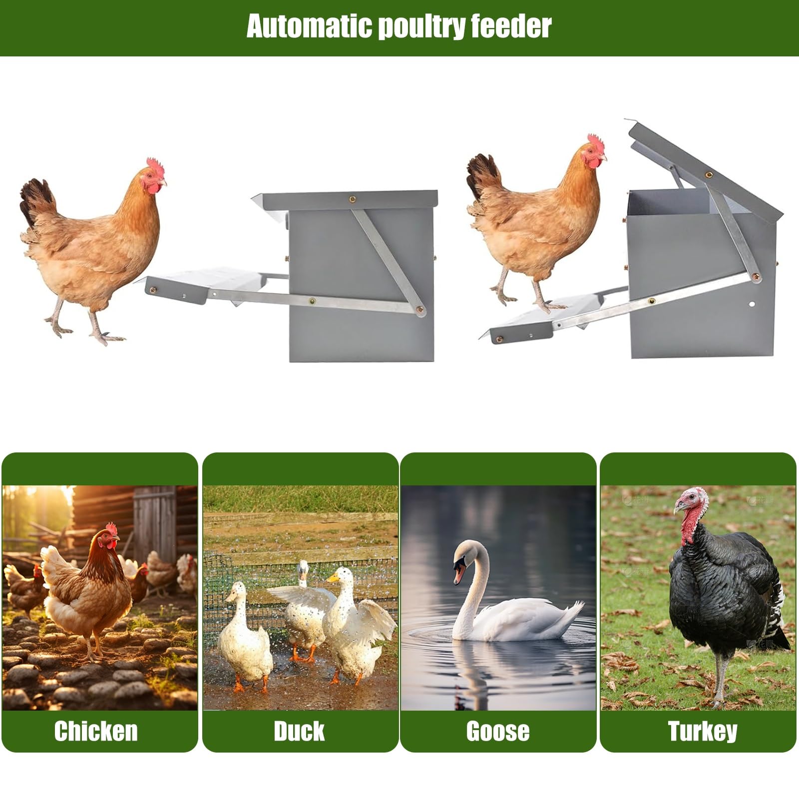 Comedero Automático de Pedal para Pollos, a Prueba de Ratas y con Tapa Resistente a La Intemperie, para 4-6 Pollos, Apto para Gallineros de Exterior de Gallos, Faisanes y Patos
