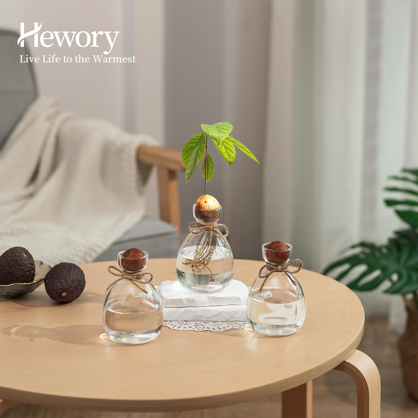 Hewory Lot de 3 vases à avocat en verre : lot de 3 vases en forme de gland - Kit de culture de graines d'avocat - Cadeaux de propagation pour les amateurs de plantes