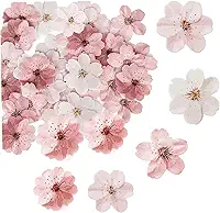 50 peças de enfeite de cupcake de flor de cerejeira comestível, decoração de festa de aniversário de noivado
