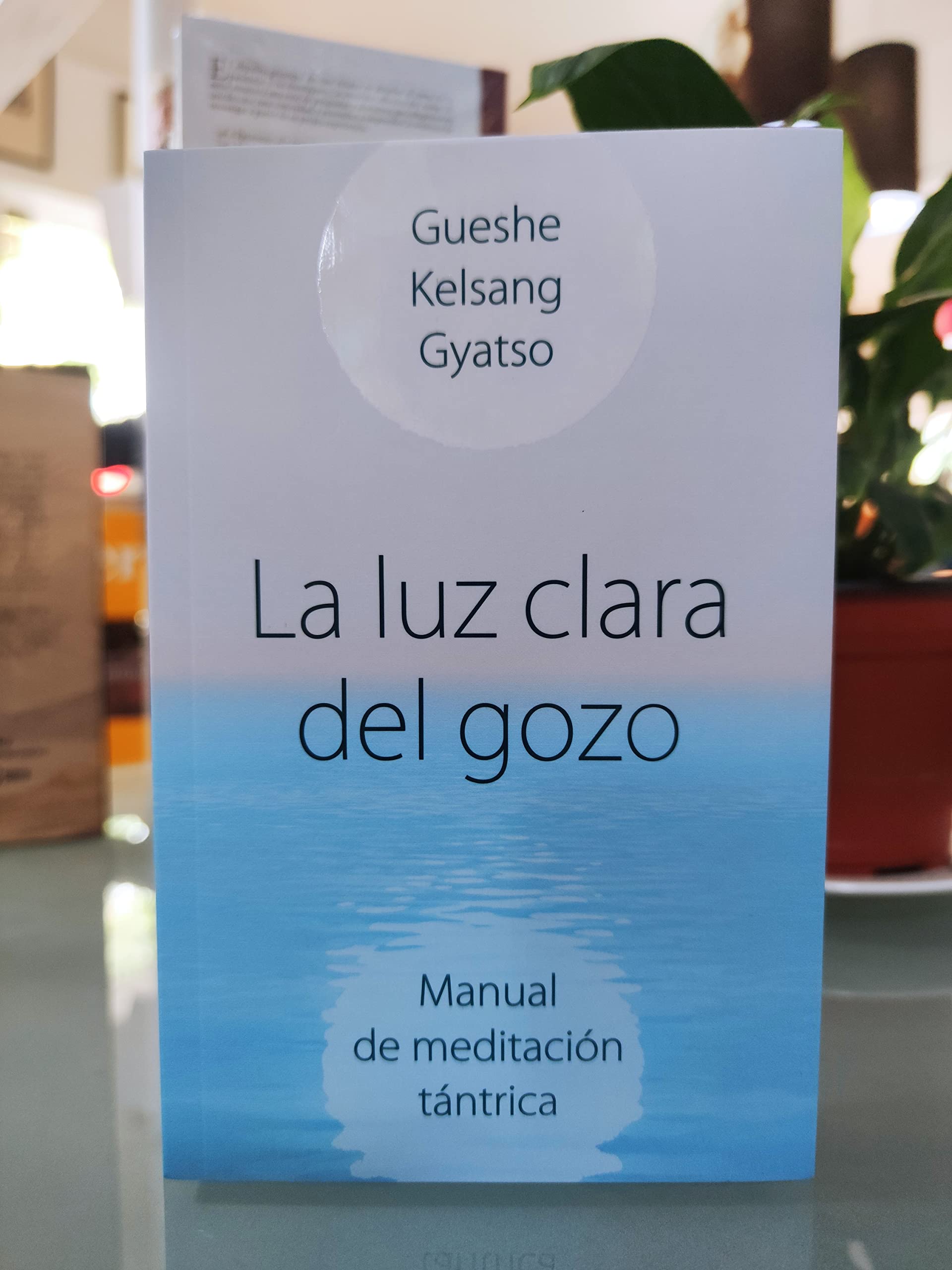 La luz clara del gozo: Manual de meditación tántrica
