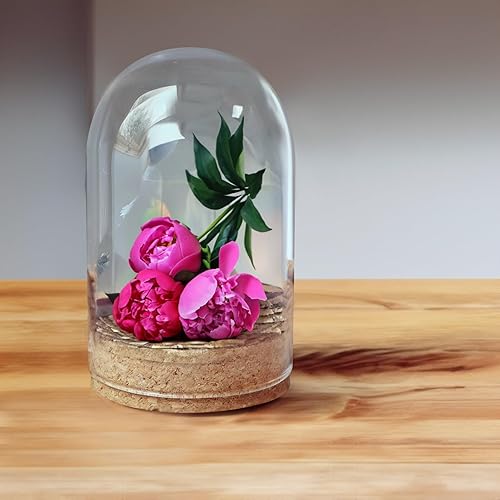 Miniatura 8 de Garneck 5 piezas de cubierta de vidrio de corcho, mini luces de hadas, contenedores pequeños, velas de postre, cúpula con pantalla de vidrio base,