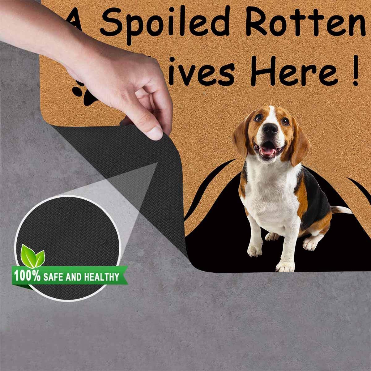 Personalized Dog Photo on Doormat 24" X 16" Indoor Outdoor Custom Pet Face Home Welcome Door Mat Area Rug Decor Customize Camping Mat