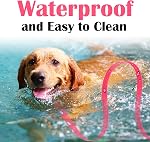 6ft Long Dog Training Leash Waterproof PVC Dog Leashes Great for Large Medium Small Outdoor Dog Training Lead(Rosered