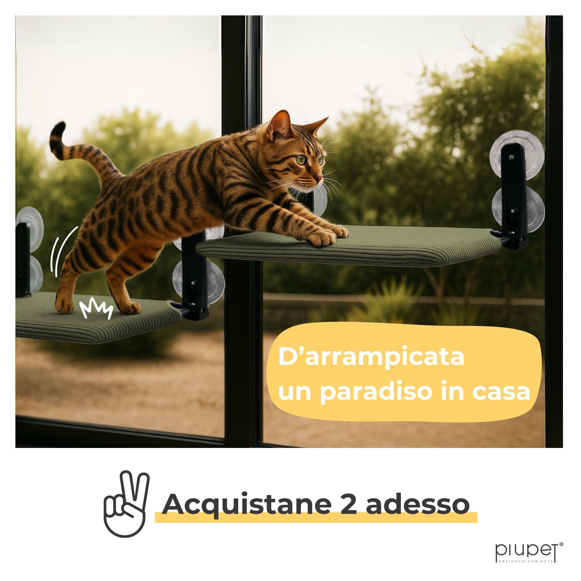 PiuPet® Lettino galleggiante per gatti da finestra - Lettino pieghevole e salvaspazio per gatti con ventose I Amaca reversibile per finestre | gatto accessori (Verde)