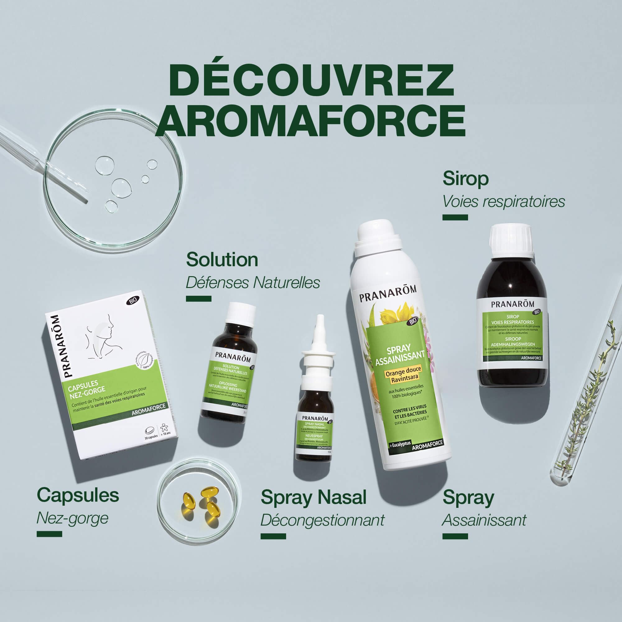 PRANARÔM - Aromaforce - Spray Assainissant Aux Huiles Essentielles Bio - Ravintsara Et Tea Tree - Assainit Et Purifie L'Air - 150 ml