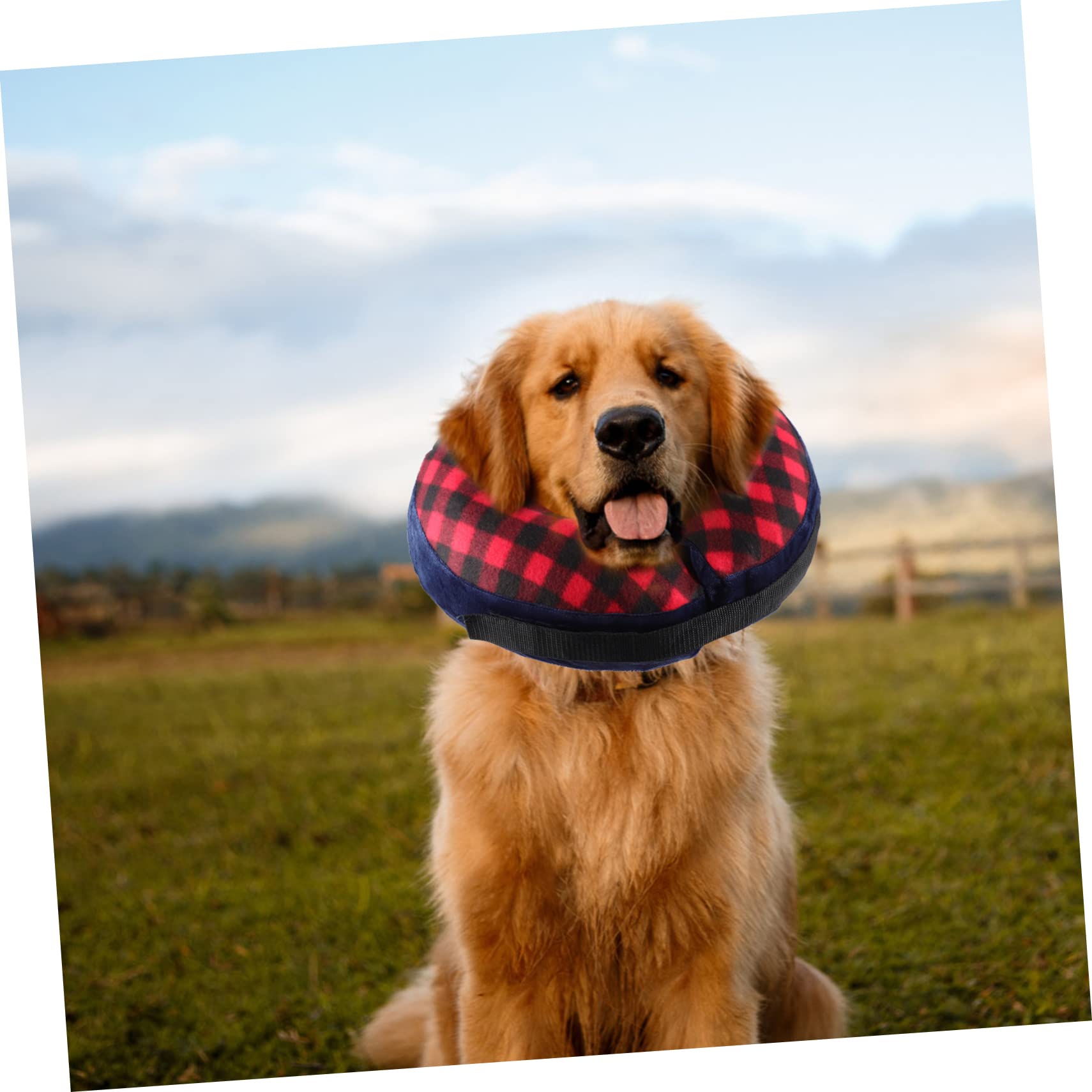 Toddmomy 4piezas Collar Inflable Protector para Mascotas Cono De Cómodo y Transpirable para Perros y Gatos Después De Cirugías y Baños