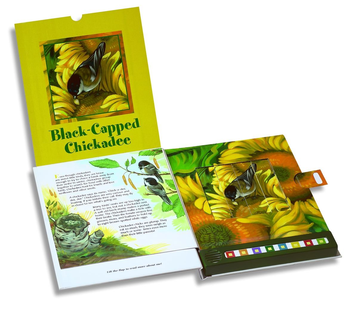 Bird Calls (Hear and There Books)