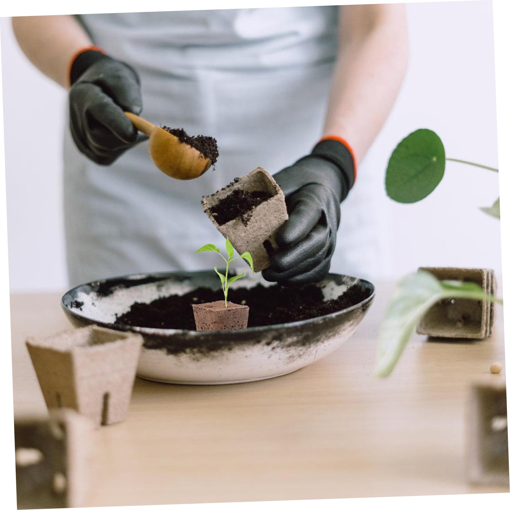 SUPVOX 160pièces Cubes De Culture Soilless Bloc De Germination pour Plantes Supports De Croissance Écologiques pour Transplantation Et Propagation Jardinage